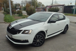 Пороги R-Style Skoda Octavia A7