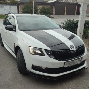 Пороги R-Style Skoda Octavia A7
