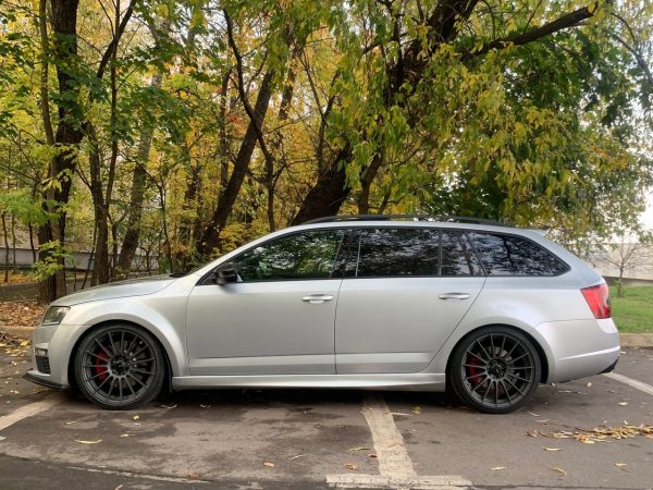 Пороги R-Style Skoda Octavia A7